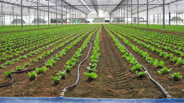 riego xa panoram|riego